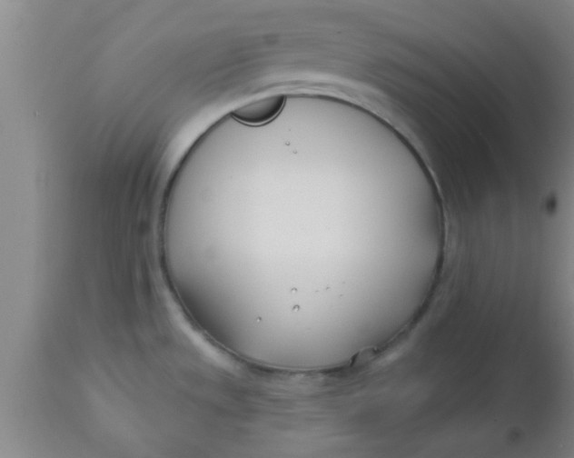 X0000112541533200909071410