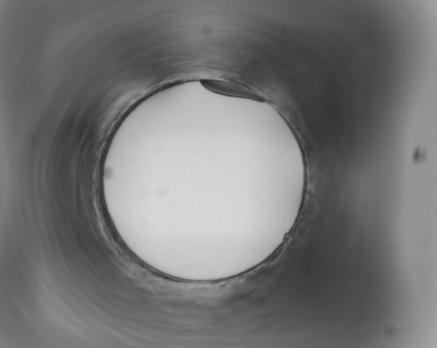 X0000112540001200909141323