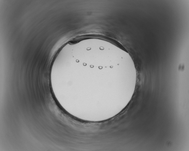 X0000112540004200909141323