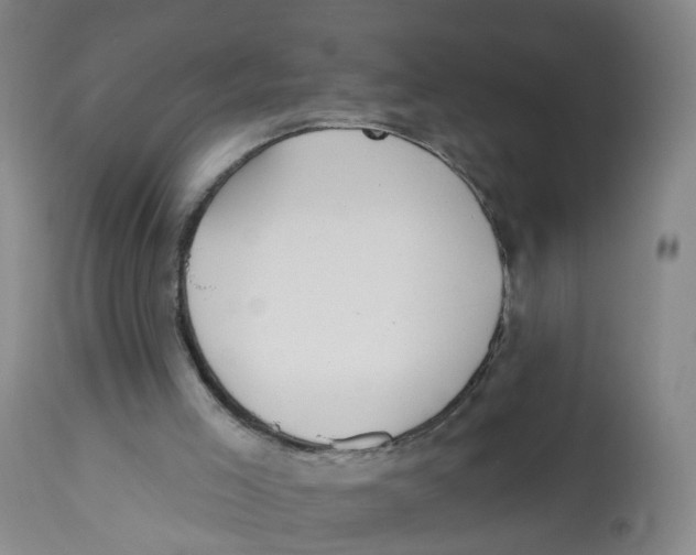 X0000112540005200909141323