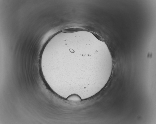 X0000112540006200909141323