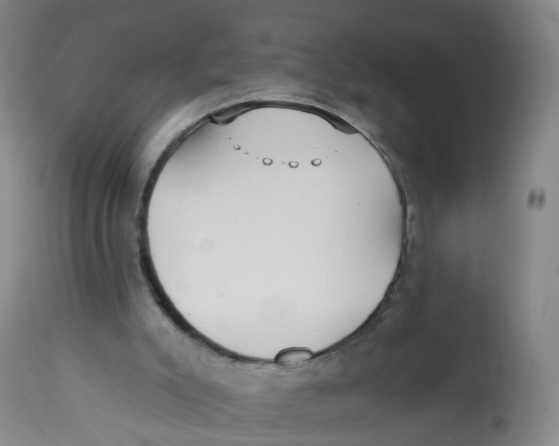 X0000112540007200909141323