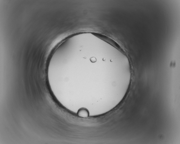 X0000112540008200909141323