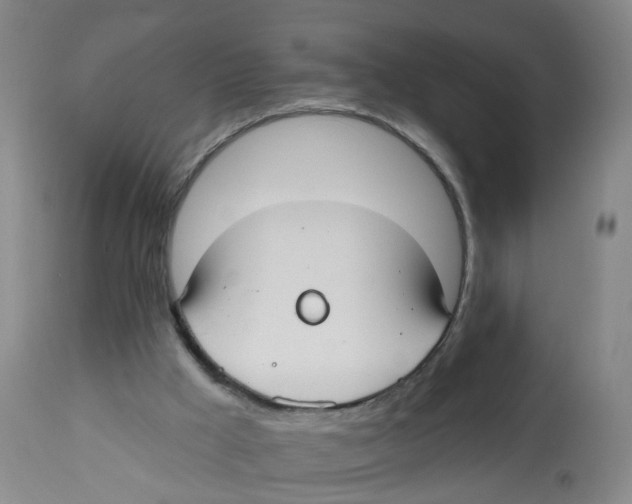 X0000112540009200909141323