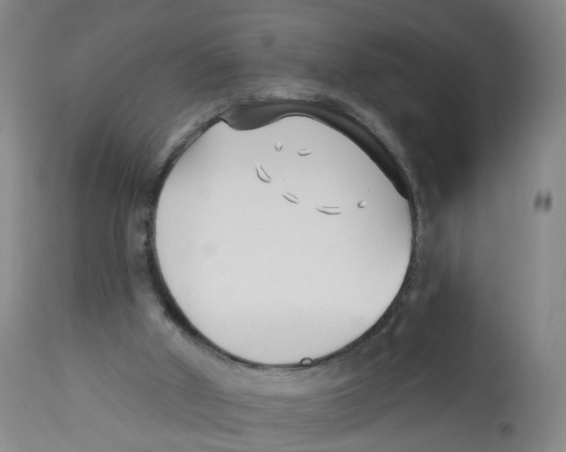 X0000112540010200909141323