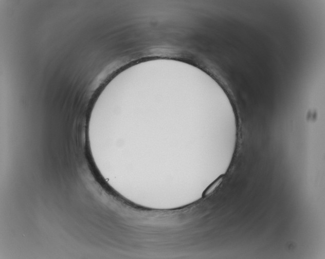 X0000112540011200909141323