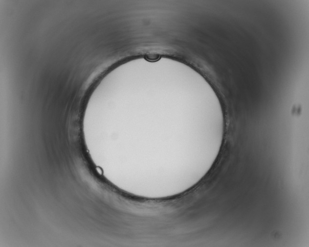 X0000112540012200909141323