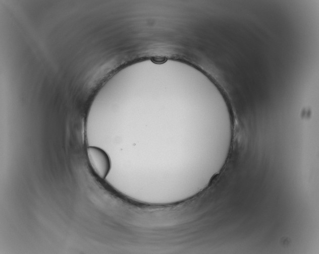 X0000112540013200909141323