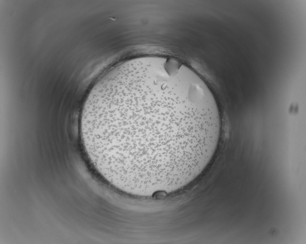X0000112540014200909141323