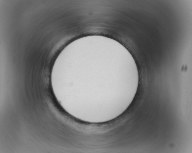 X0000112540016200909141323