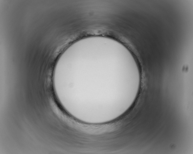 X0000112540018200909141323