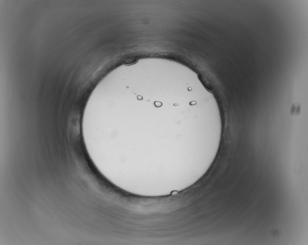 X0000112540021200909141323