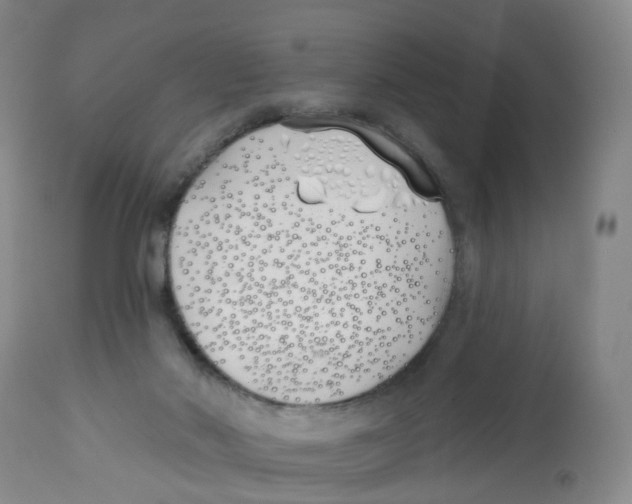 X0000112540022200909141323