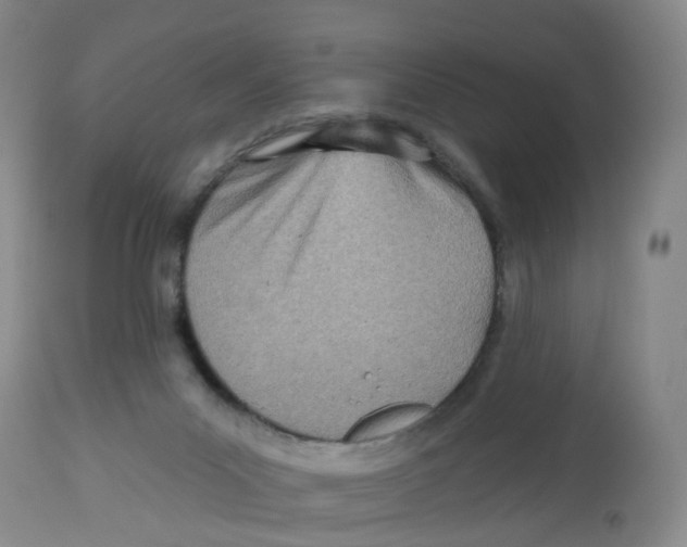 X0000112540023200909141322
