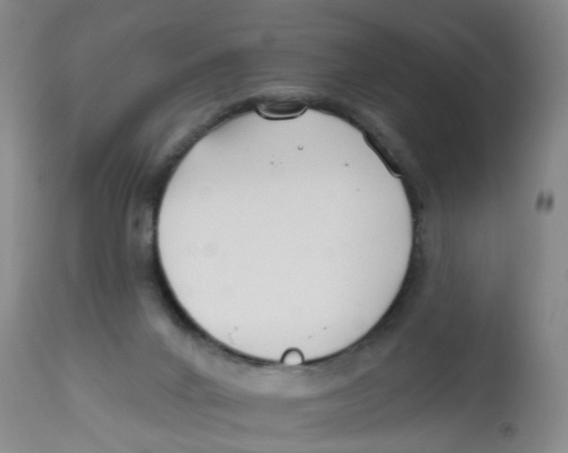 X0000112540024200909141322