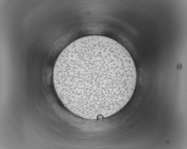 X0000112540026200909141322