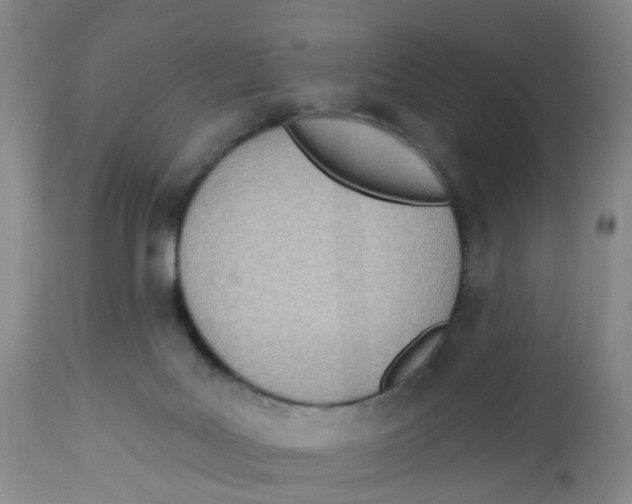 X0000112540027200909141322