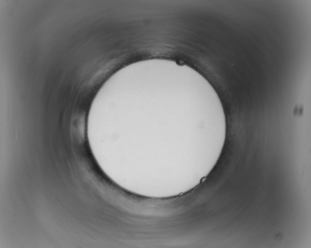 X0000112540028200909141322
