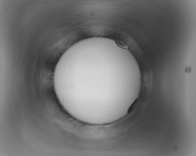 X0000112540029200909141322