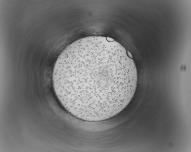 X0000112540030200909141322