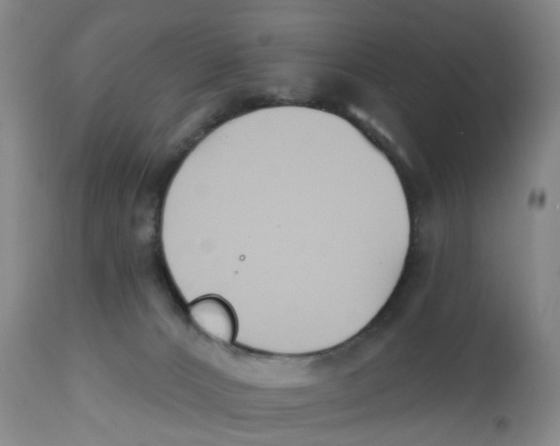 X0000112540032200909141322