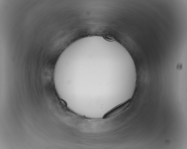 X0000112540033200909141322