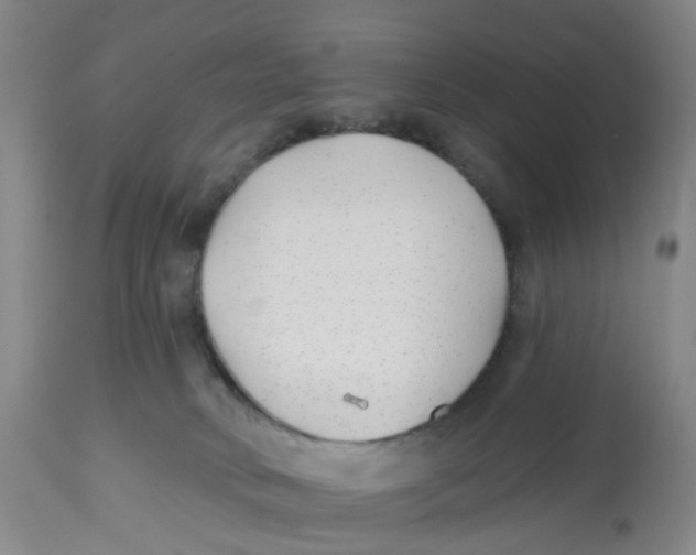 X0000112540034200909141322