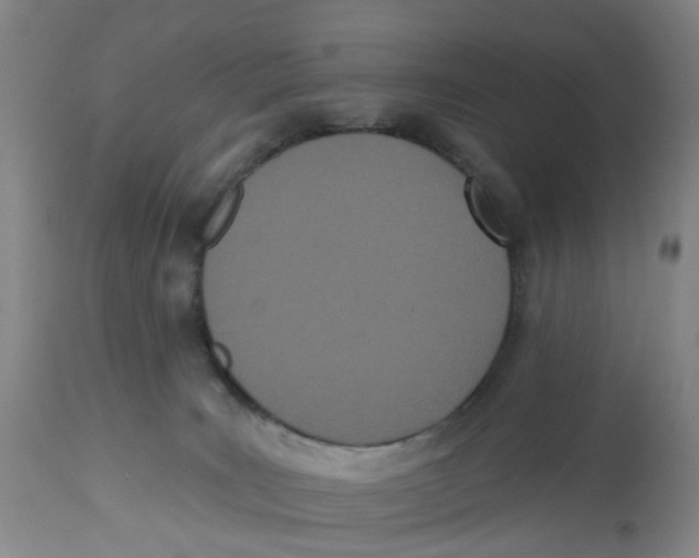 X0000112540035200909141322