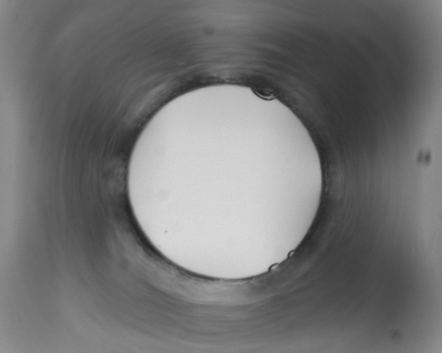 X0000112540036200909141322