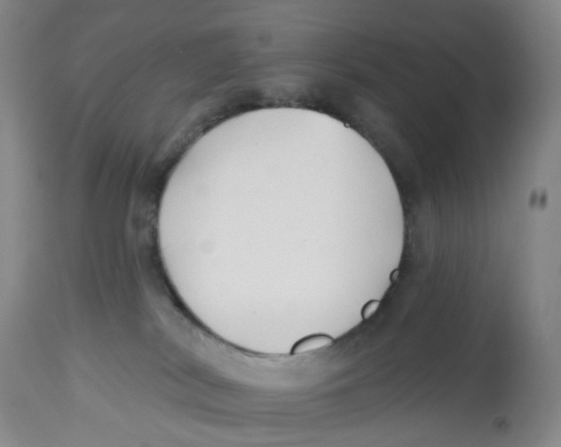 X0000112540038200909141322