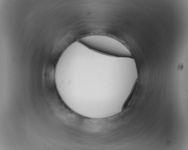 X0000112540041200909141322