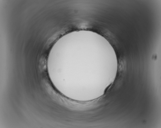 X0000112540043200909141322