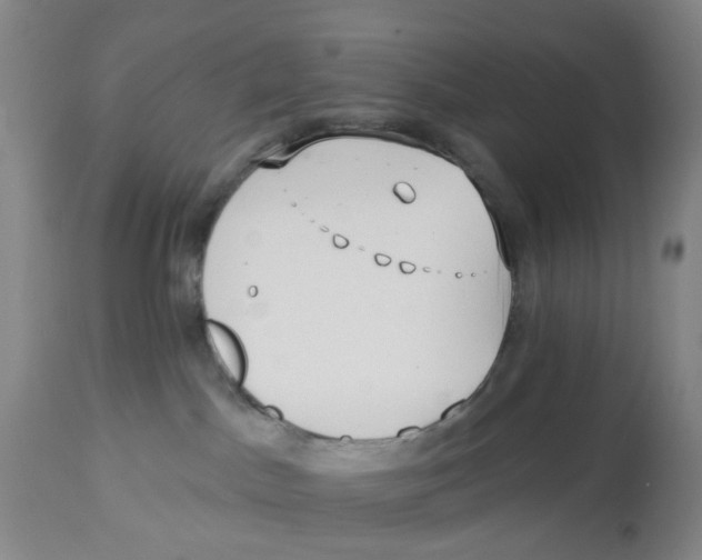 X0000112540045200909141322