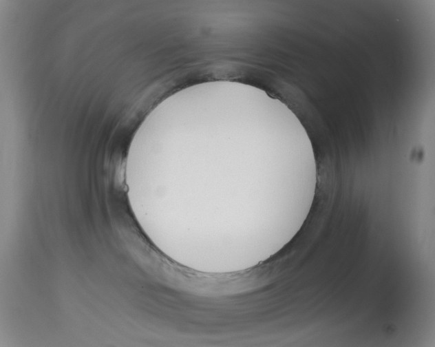 X0000112540046200909141322