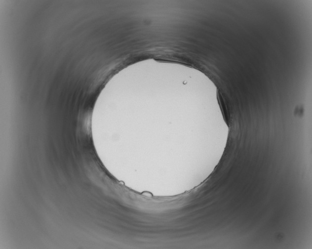 X0000112540047200909141322