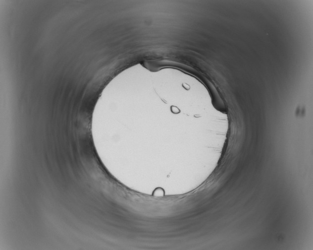 X0000112540048200909141322