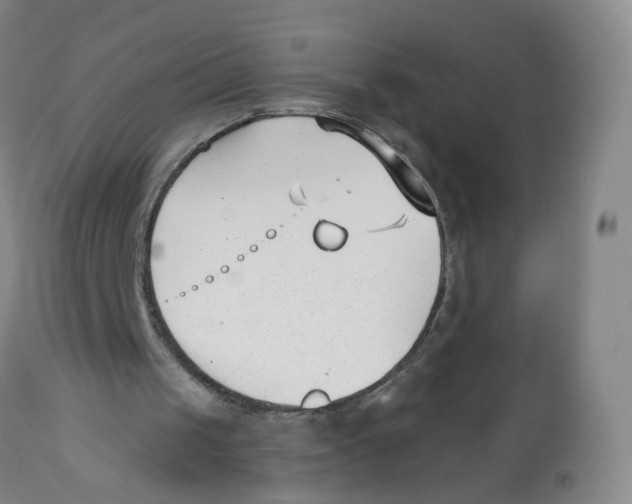 X0000112540049200909141321