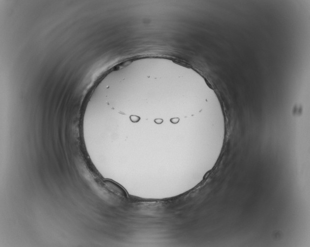 X0000112540050200909141322