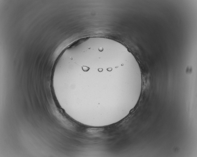 X0000112540051200909141322