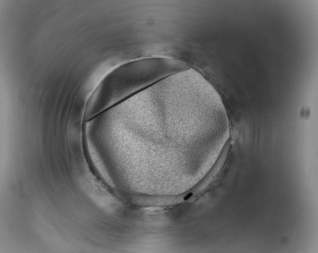 X0000112540052200909141322