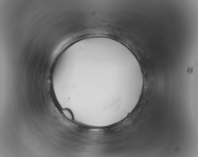 X0000112540053200909141322