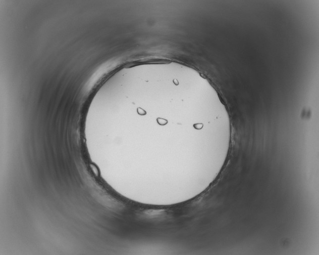 X0000112540054200909141322