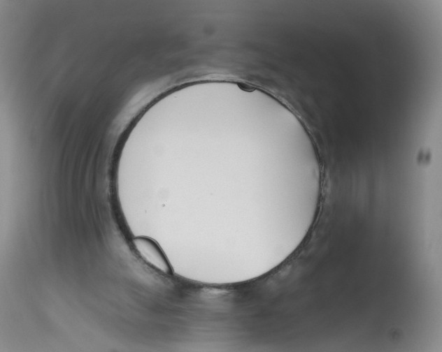 X0000112540055200909141322
