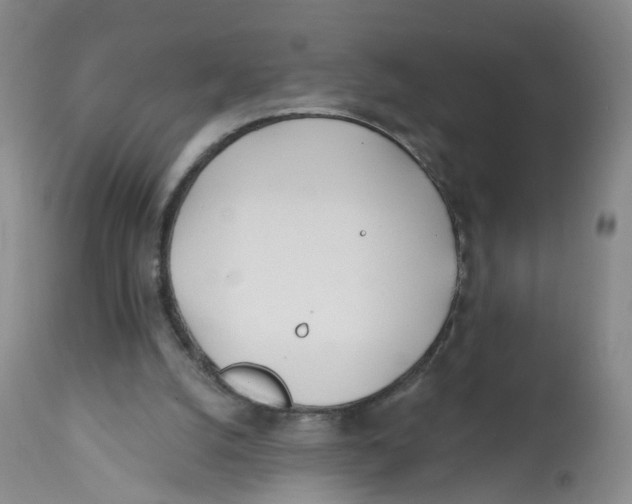 X0000112540056200909141322