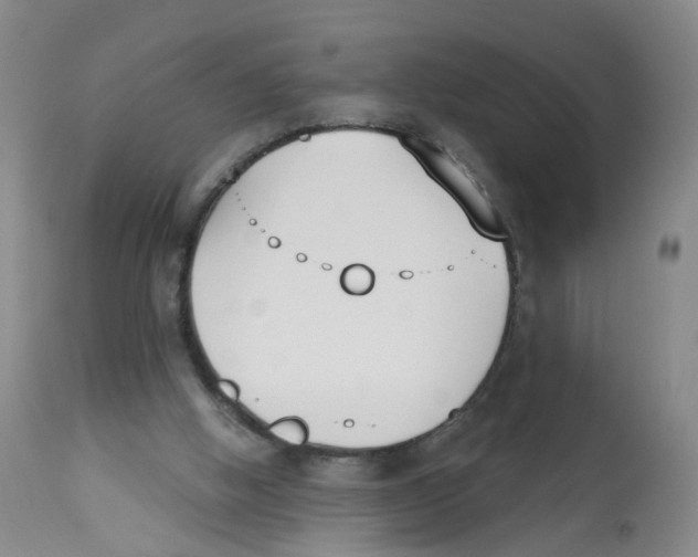 X0000112540058200909141322