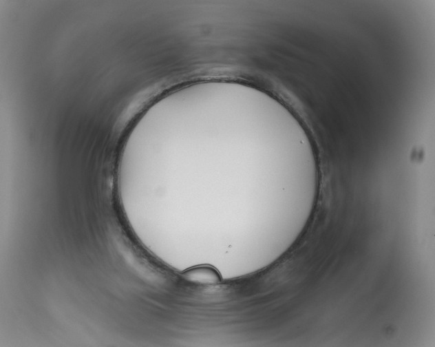 X0000112540059200909141322