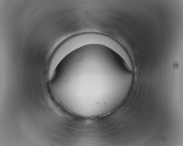 X0000112540060200909141322