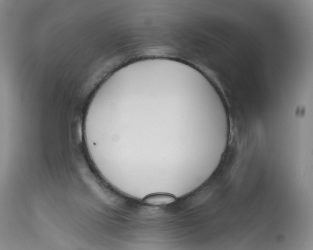 X0000112540061200909141322