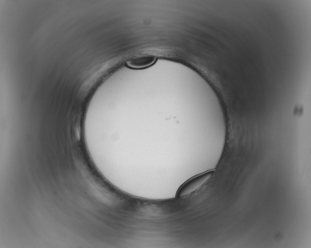 X0000112540062200909141322