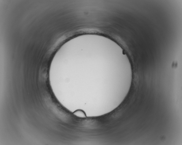 X0000112540063200909141322